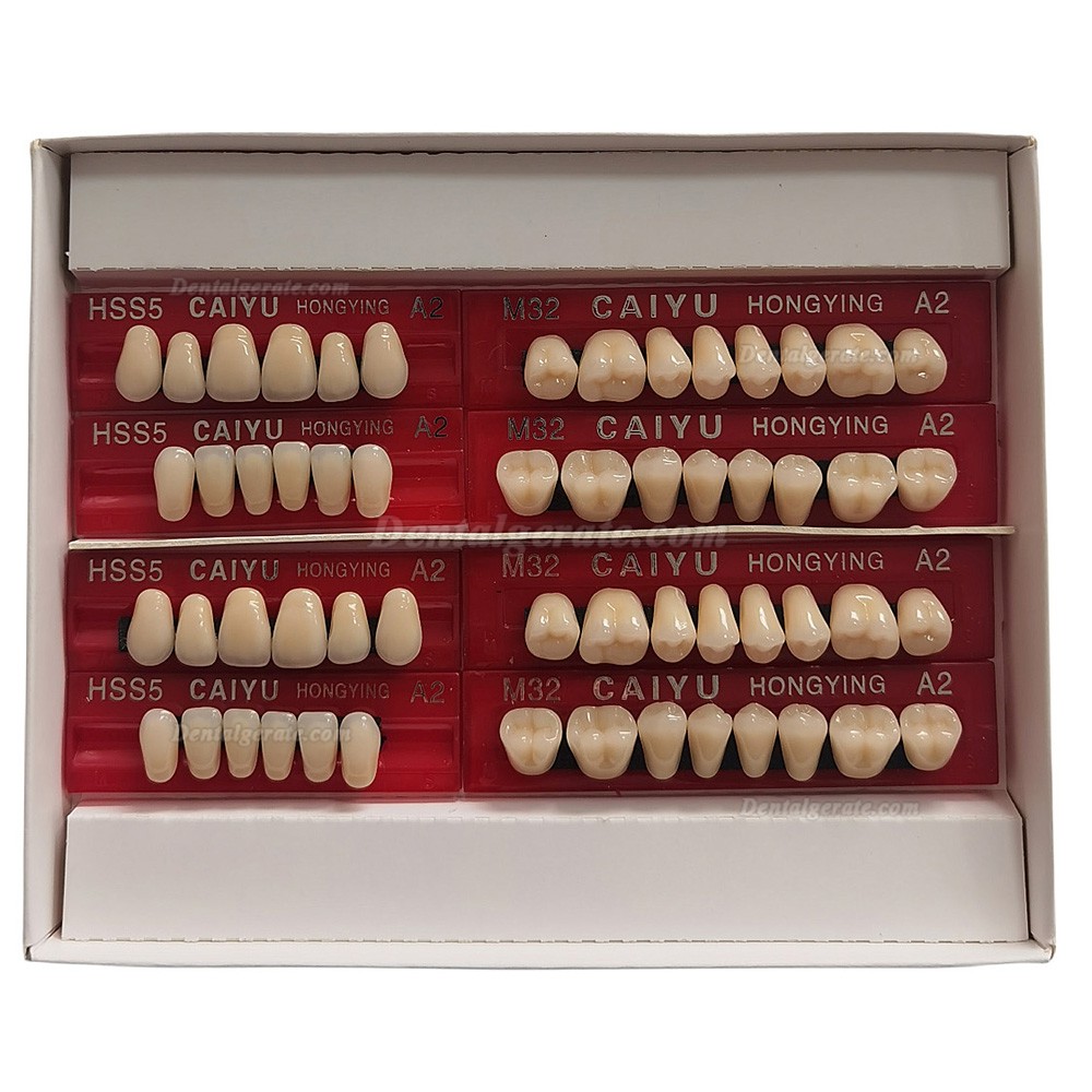 Caiyu Hongying Zahnprothesen aus Dentalharz (Dreischichtfarbe) A1/A2/A3/A3.5/A4